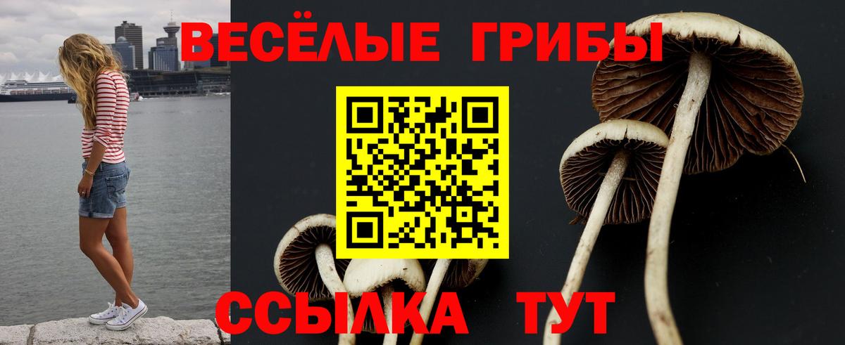 Галлюциногенные грибы ЛСД Кисловодск